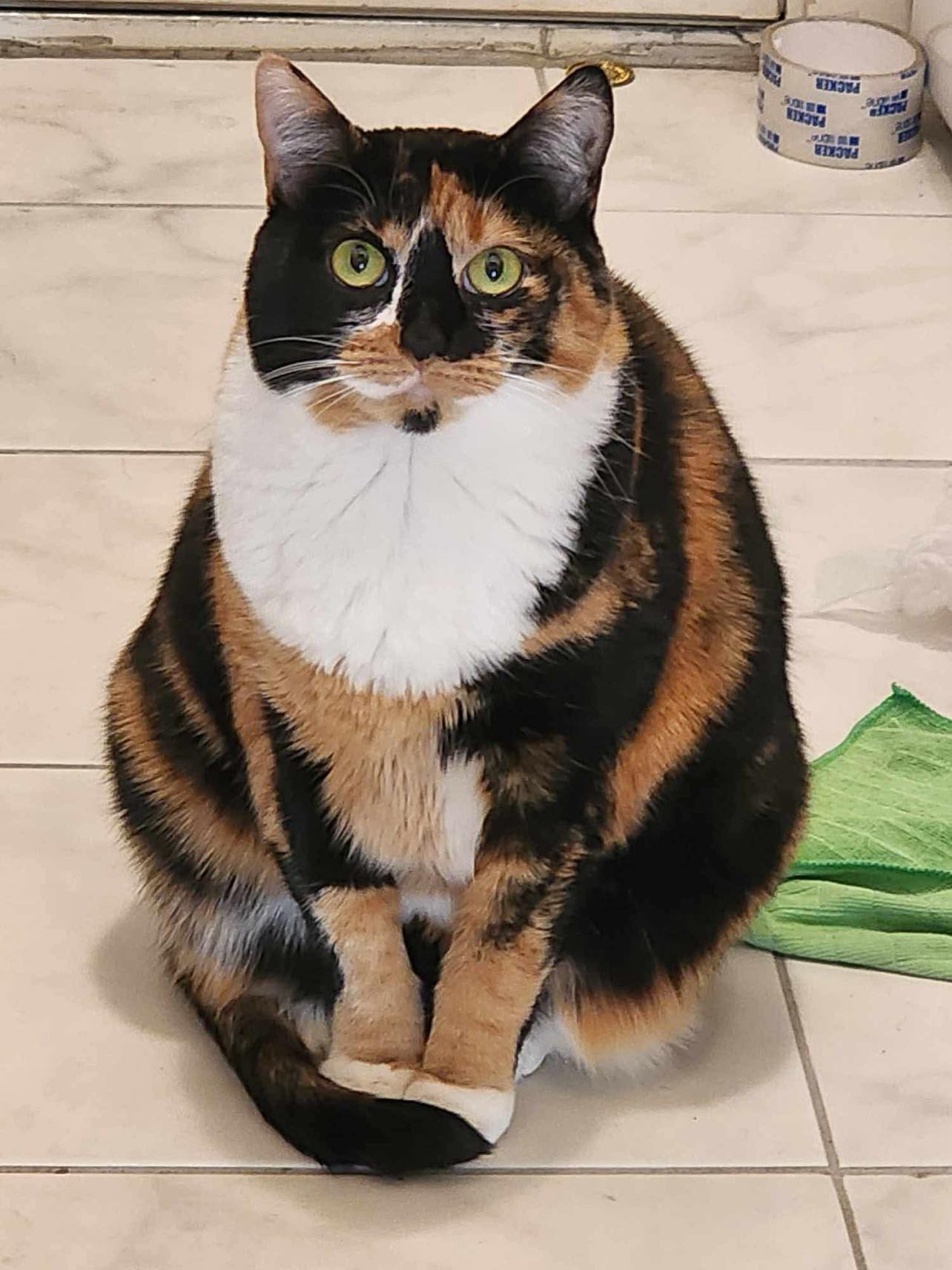 Cute thing 2
